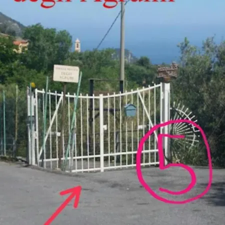 別荘 Casa Oleandro