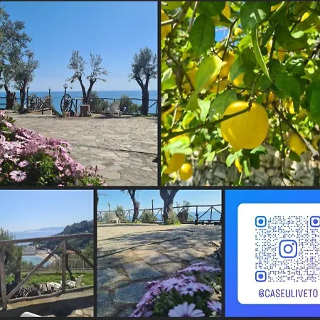 別荘 Casa Oleandro *