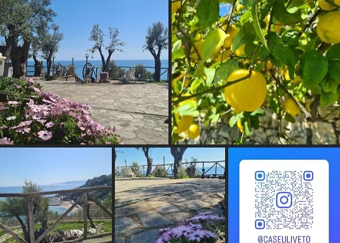 Дом отдыха Casa Oleandro *