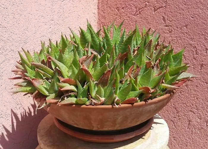 Дом отдыха Casa Oleandro